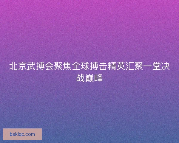 北京武搏会聚焦全球搏击精英汇聚一堂决战巅峰